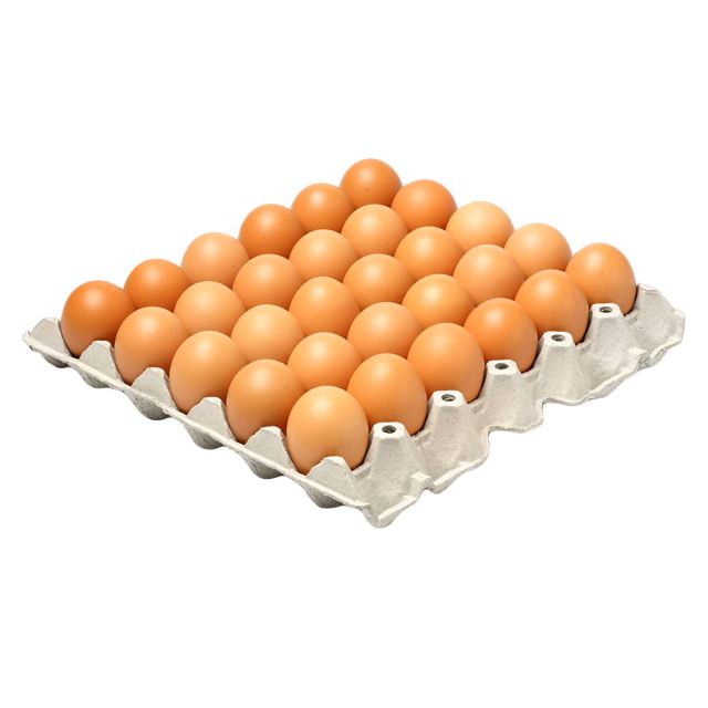Eggs Tray 30Pack